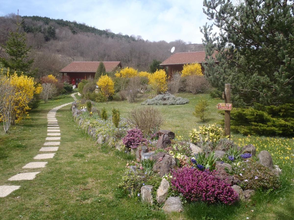 Les Chalets De La Vigne Grande Saint-Floret ภายนอก รูปภาพ